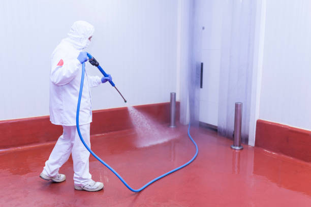 Pre-Holiday Cleaning in Sidney, MT